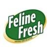 Feline Pine